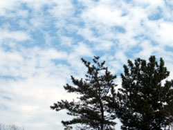 f0048405_13144146.jpg