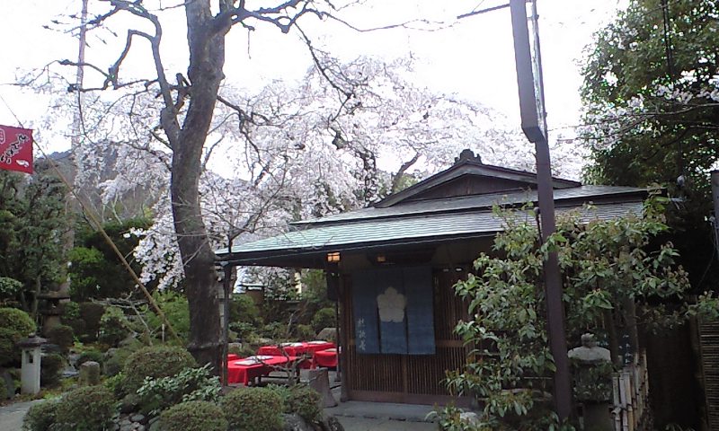d0000607_0161100.jpg