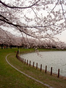 f0043911_1153880.jpg