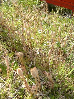 f0014812_2153151.jpg