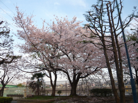 f0083013_11491545.jpg