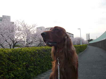 f0083013_11501798.jpg