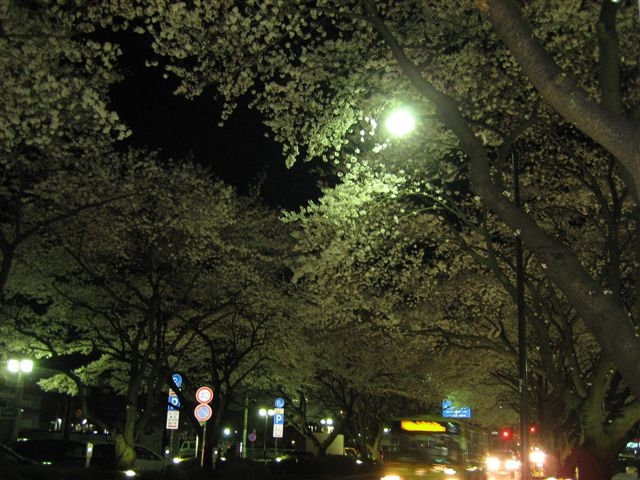 f0130913_851173.jpg