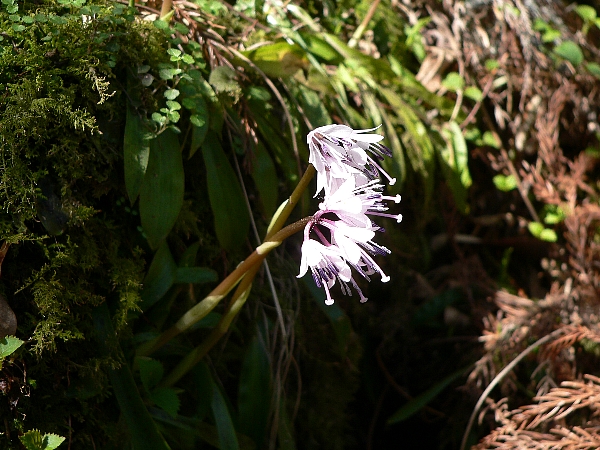 e0002314_21553841.jpg