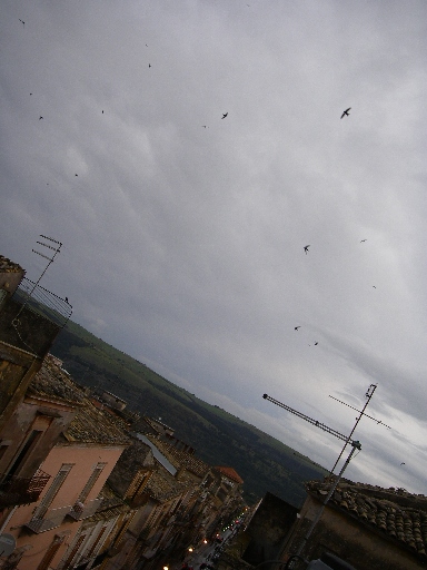 f0133814_6412013.jpg