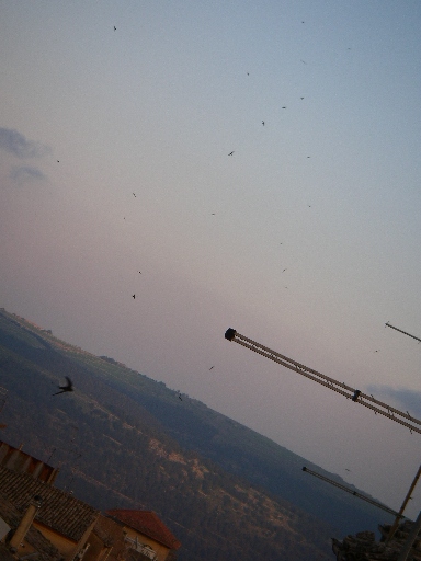 f0133814_6415299.jpg