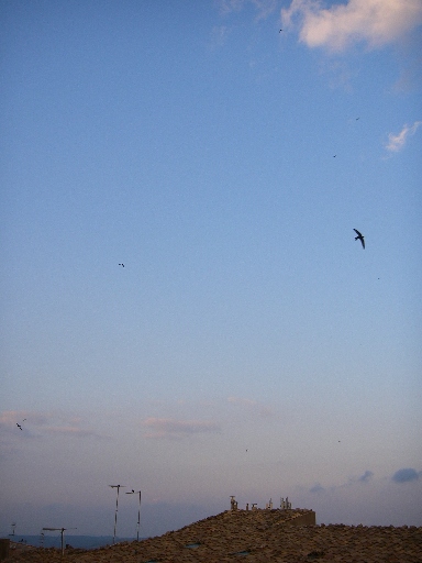 f0133814_653446.jpg