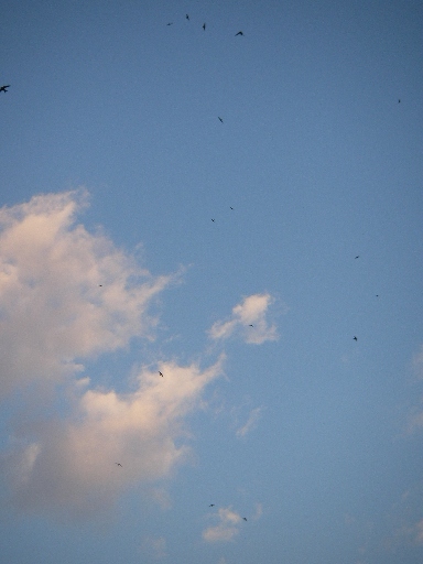 f0133814_654646.jpg