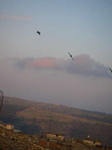 f0133814_71214.jpg