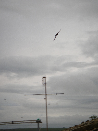 f0133814_7263454.jpg