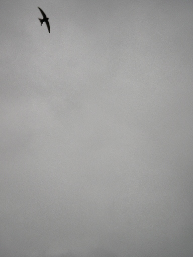 f0133814_7272720.jpg