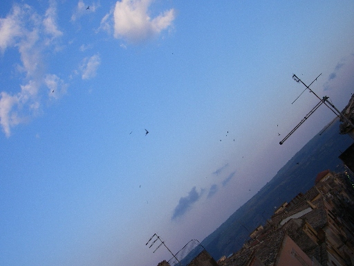 f0133814_7354723.jpg