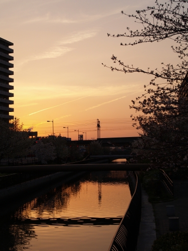 c0136217_235813.jpg