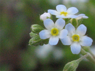f0038819_2336781.jpg