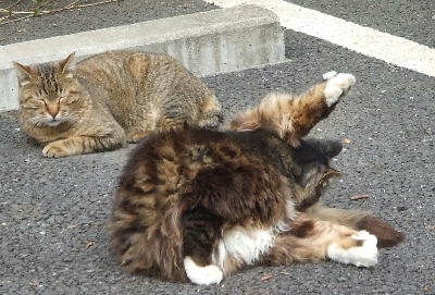 c0145920_8332618.jpg
