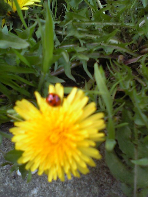 d0035823_20275672.jpg