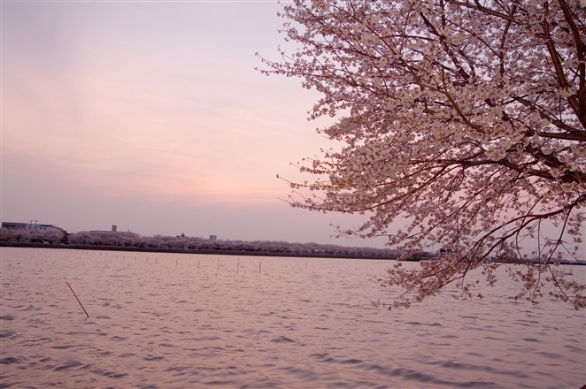 f0040525_235342.jpg