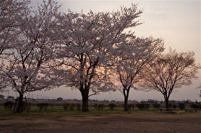 f0040525_2353649.jpg