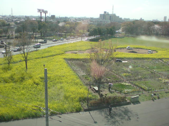 e0016828_073127.jpg
