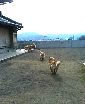 e0065928_1743256.jpg