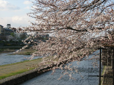 f0054428_17162264.jpg