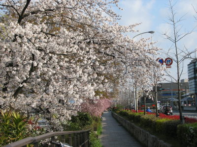 f0054428_17173681.jpg