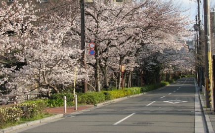 f0054428_17193456.jpg