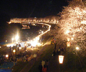 c0069036_23114235.jpg