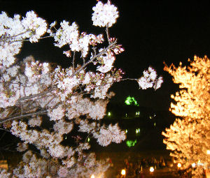c0069036_23122316.jpg