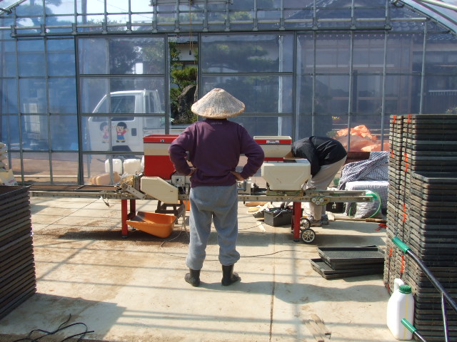 d0150739_1843140.jpg