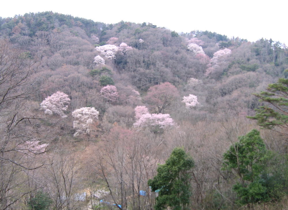 e0049740_18182455.jpg