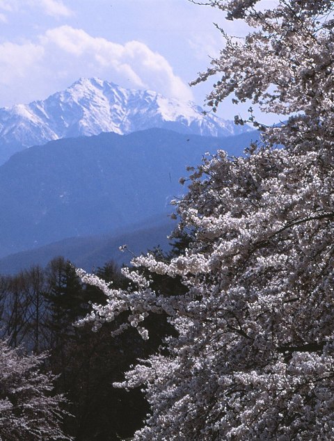 c0122445_15574724.jpg