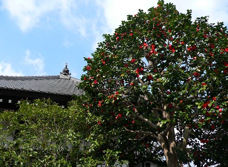 c0057946_17544124.jpg
