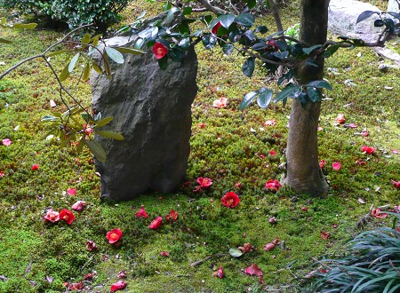 c0057946_1755723.jpg