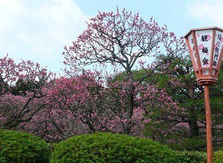 c0057946_1804296.jpg