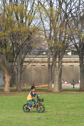 d0013149_15214976.jpg