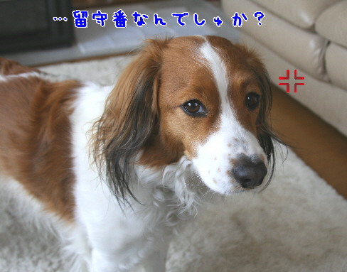 d0013149_153256100.jpg