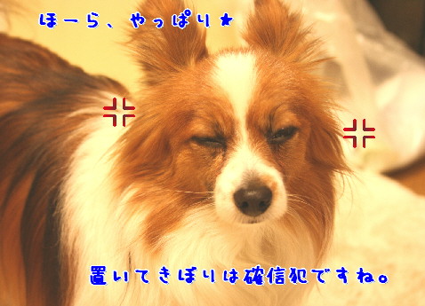 d0013149_1556156.jpg