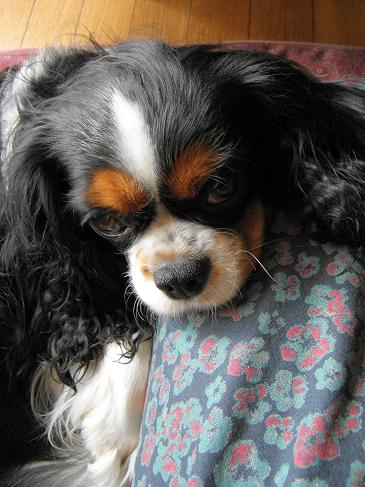 c0145250_10471798.jpg