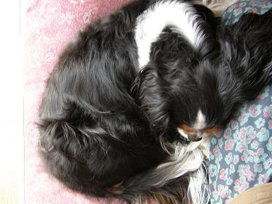 c0145250_104968.jpg