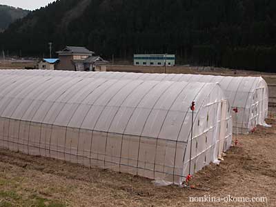 c0145453_2252322.jpg