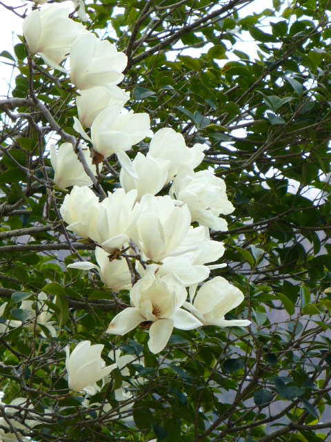 f0074659_21541894.jpg
