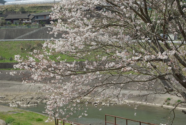 c0020265_1422139.jpg