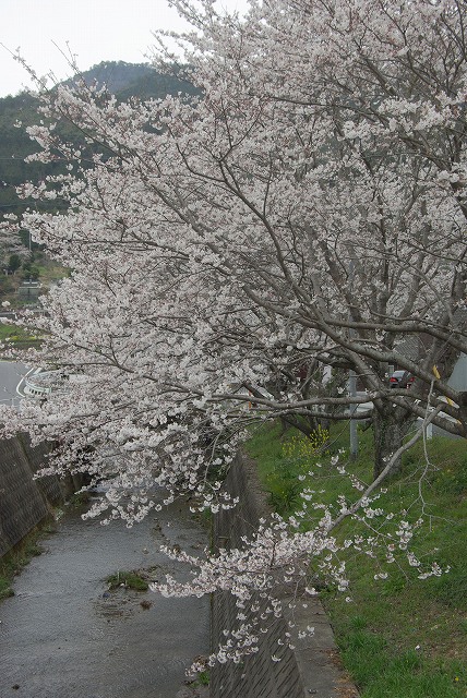 c0020265_19543195.jpg