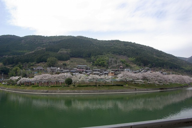 c0020265_1959946.jpg