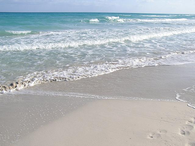 c0103368_525711.jpg