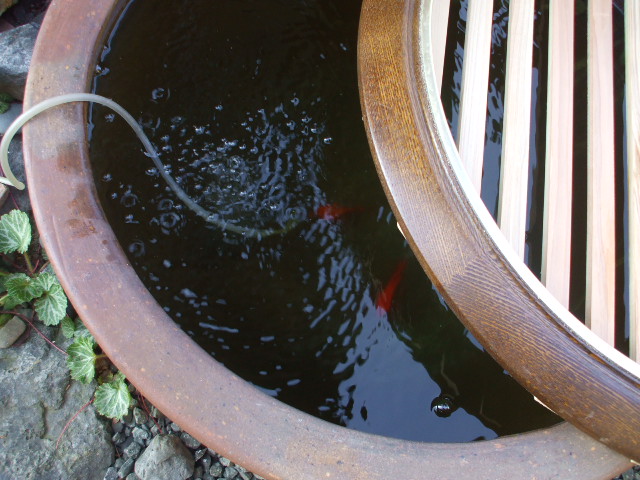 c0138868_208369.jpg