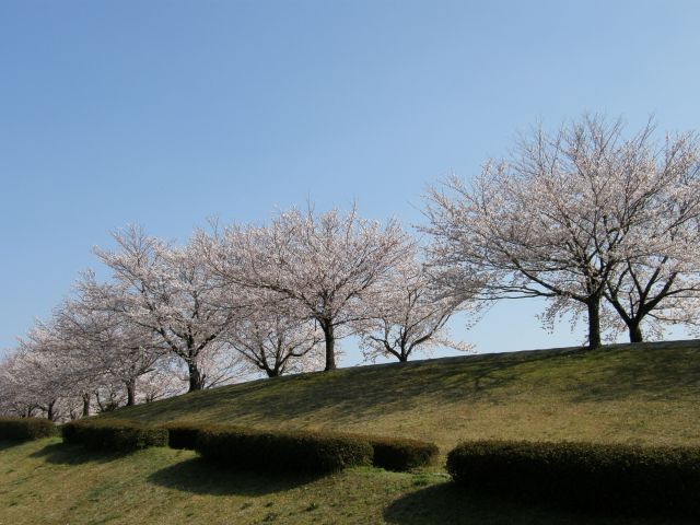 c0042869_8475910.jpg