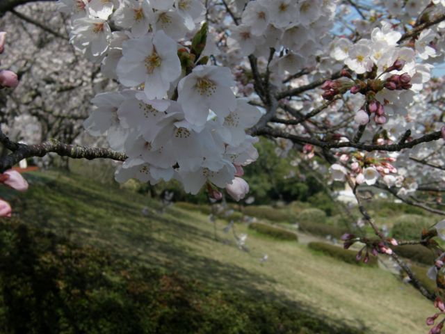 c0042869_8484333.jpg