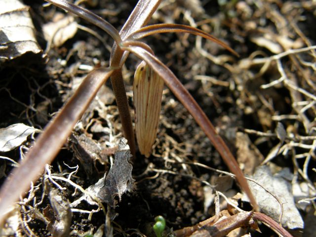 c0042869_8575151.jpg